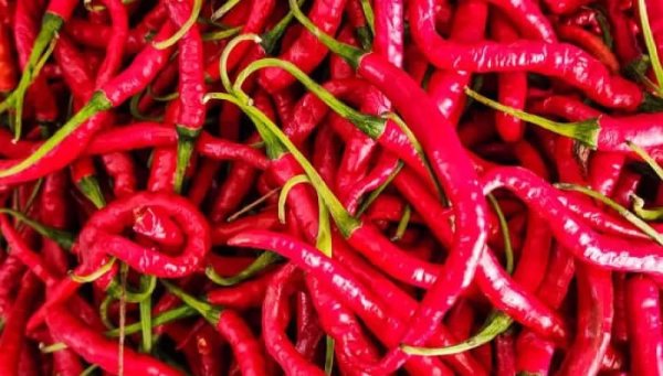 Kenaikan Harga Cabai Rawit Merah dan Cabai Merah Keriting di DI Yogyakarta: Naik 6,21 Persen per Senin, 10 Juni 2024