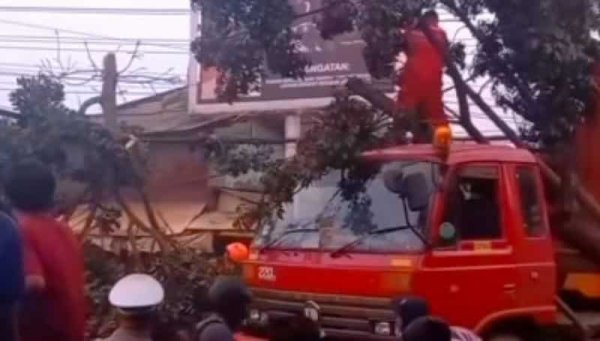 Kecelakaan di Jl Citaliktik, Pohon Besar Tumbang Timpa Mobil Bermuatan