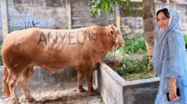 Zita Anjani Rayakan Idul Adha dengan Berkurban Sapi Bernama Anyeong dan Haseyo