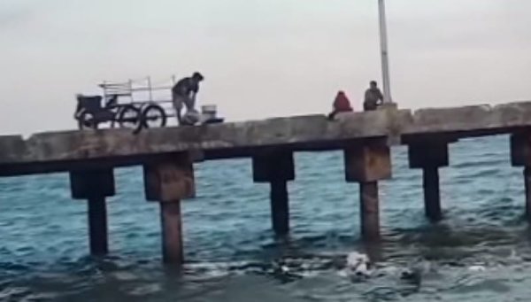 Tindakan Buang Sampah ke Laut di Pelabuhan Branta Pesisir Picu Kemarahan dan Aksi Cepat Pemerintah