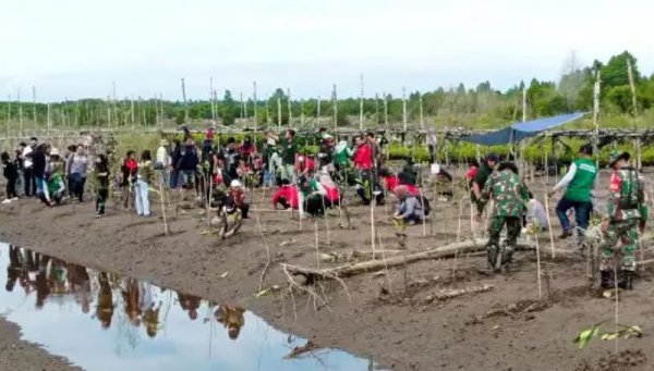 DLH Kutim Menanam Harapan di Pantai Teluk Lingga: Pelestarian Terumbu Karang dan Mangrove