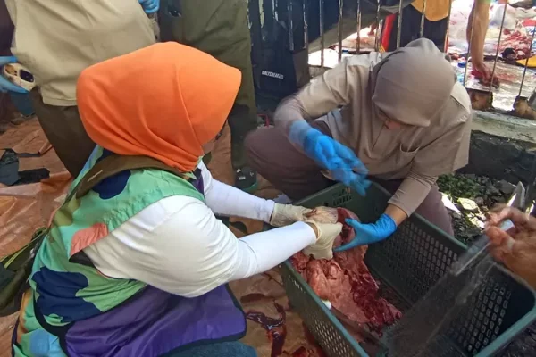 Temuan Cacing pada Daging Kurban, DKPP Kota Bandung Ambil Tindakan Tegas