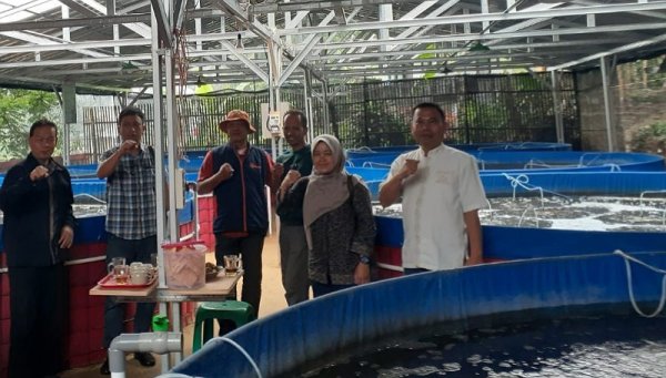 Budidaya Ikan dengan Teknik Bioflok Diminati di Sumedang