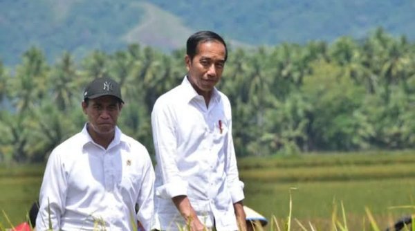 Presiden Jokowi Tinjau Kebun Kopi di Lampung Upaya Pemerintah Memperkuat Komoditas Kopi