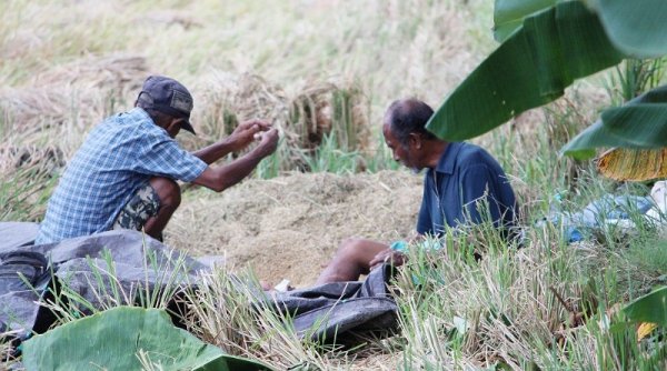 Orang Lanjut Usia, Korban Tersembunyi dari Perubahan Iklim