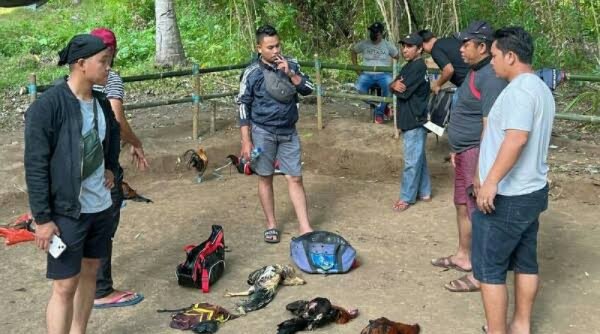 Polisi Gerebek Tempat Judi Sabung Ayam di Jatiasih Bekasi