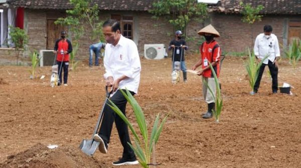 Presiden Jokowi ke Jawa Timur untuk Buka Konferensi dan Pameran Kelapa Internasional Cocotech ke-51