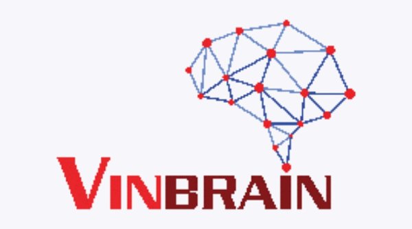 VinBrain Tawarkan Platform AI dan Layanan Anotasi untuk 8.000 Siswa Kurang Beruntung