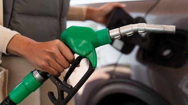 Pertamina Perluas Kolaborasi dan Tingkatkan Kompetensi untuk Pengembangan Bioenergi di GIIAS 2024