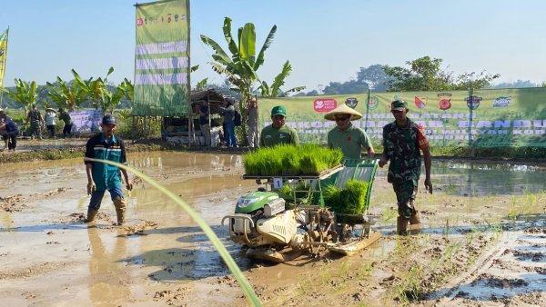 Penanaman Padi, Kang DS: Revitalisasi Lahan Tidak Produktif Menjadi Produktif