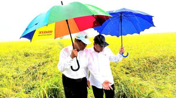 Mentan Andi Amran Sulaiman Dorong Pengembangan Varietas Unggul Padi Cakrabuana Agritan di Merauke