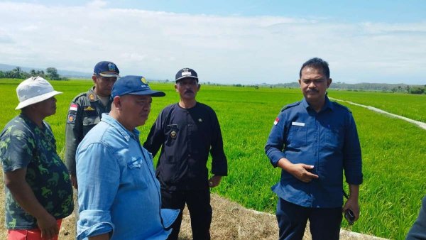 Dirjen Tanaman Pangan Kementan Cek Lahan Sawah di Garut Selatan: Upaya Hadapi Musim Kemarau