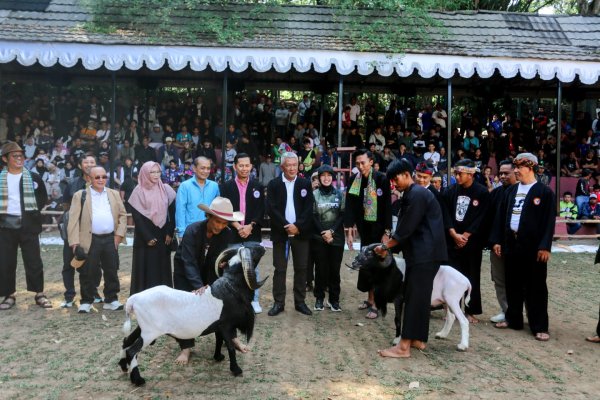 Reaktivasi Lapangan Babakan Siliwangi, Pemkot Bandung Gelar Lomba Ketangkasan Domba