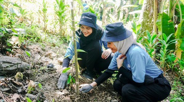 Inisiatif Hijau TÜV Rheinland Indonesia Bersama Perhutani: Penanaman 200 Pohon untuk Masa Depan Berkelanjutan
