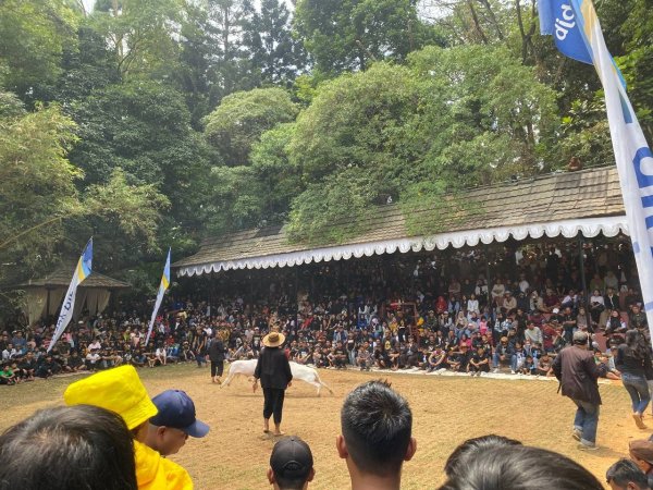 Dukungan Penuh Pemkot Bandung, Lomba Ketangkasan Domba Garut Bangkit di Babakan Siliwangi