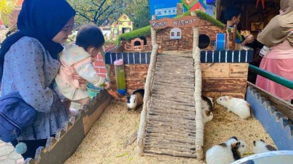 Tempat Wisata Peternakan "Edufarm" di Bandung yang Wajib di Kunjungi saat Weekend