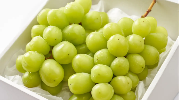 Anggur Shine Muscat Tercemar Pestisida di Thailand, Tapi Aman di Malaysia, Singapura dan Indonesia