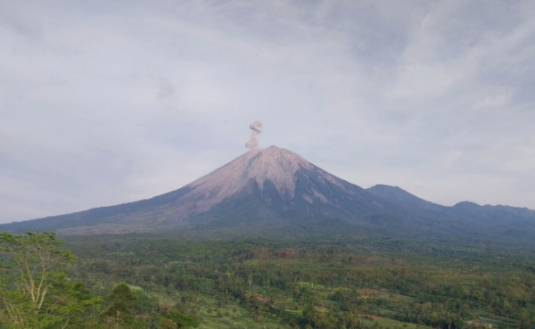 Gunung Semeru Erupsi: Kolom Letusan Mencapai 700 Meter Selasa Pagi