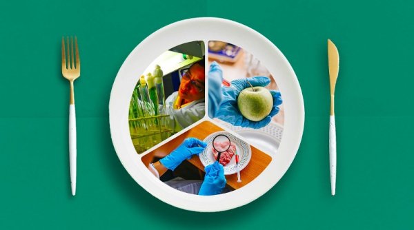 Hari Pangan Sedunia: Memilih Makanan Aman dan Berkelanjutan