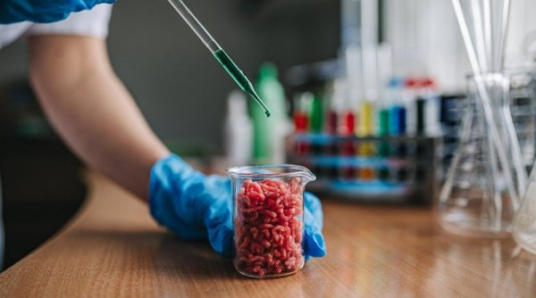 Laboratorium Pangan: Solusi Protein Berkelanjutan di Hari Pangan Sedunia