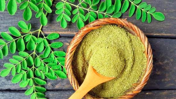 Mengenal Berbagai Manfaat Daun Kelor untuk Kesehatan