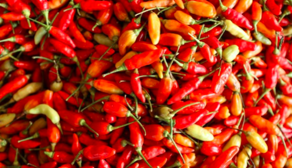 Harga Bahan Pokok Kamis 10 Oktober 2024, Semua Bahan Pokok Naik, Kecuali Daging Sapi Murni