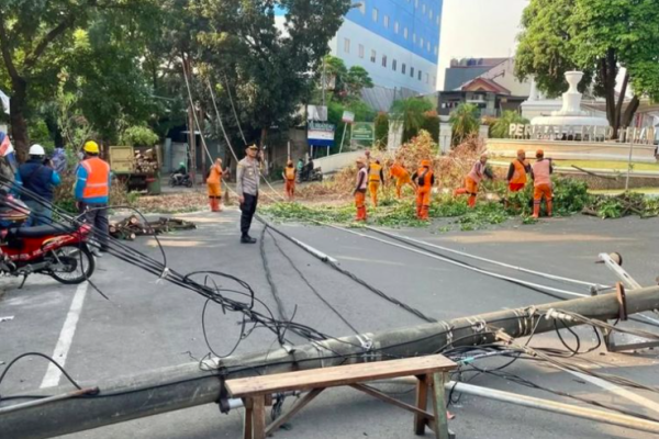 Tiang Listrik dan Pohon Tumbang di Srengseng, Pengendara Diimbau Hindari Jalan Raya Pos Pengumben