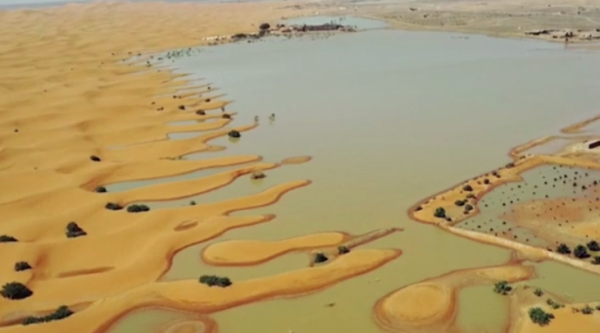 Ketika Gurun Sahara Banjir, tapi Sungai Amazon Justru Mengering