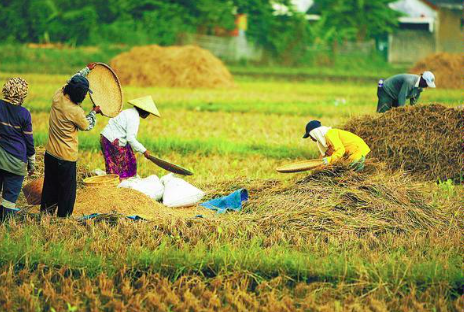 Petani Subang Curhat ke Zulhas, Biaya Produksi Mahal-Tak Dapat Pupuk Subsidi