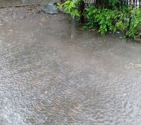 Prakiraan Cuaca Kota Bandung pada Minggu, 17 November 2024: Hujan Ringan dan Berawan
