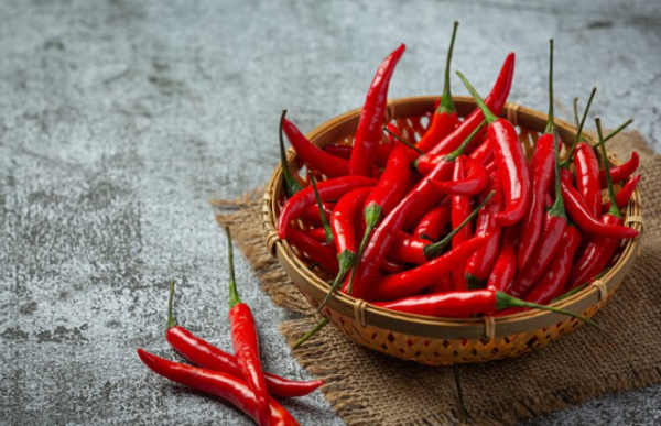 Panduan Memilih Cabai yang Tepat untuk Sambal yang Nikmat dan Tahan Lama