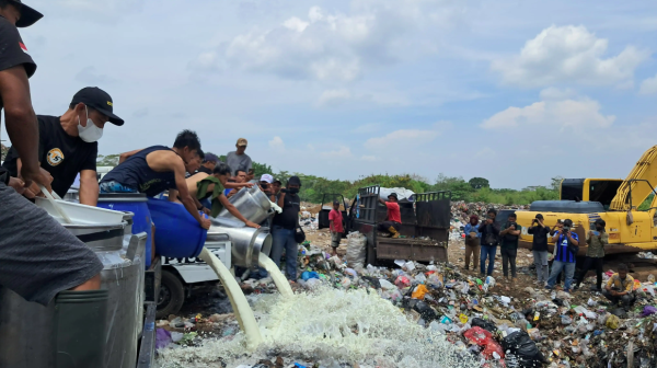 Pengepul-Peternak Boyolali Buang 50 Ribu Liter Susu Sapi ke TPA Winong