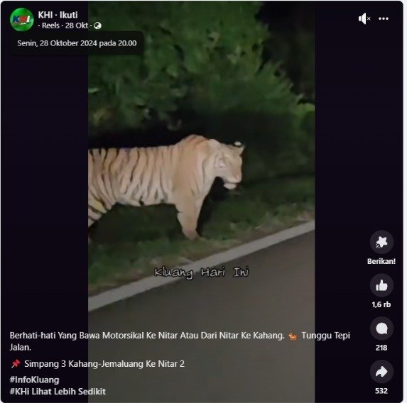 [HOAX] Harimau Melintas di Jalan Cadas Pangeran