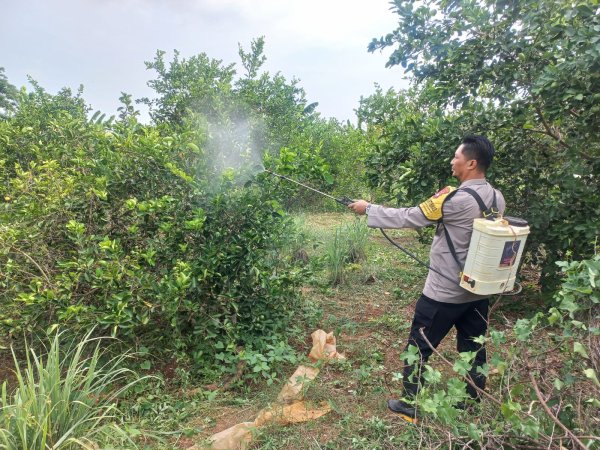 Bhabinkamtibmas Kebon Agung Jadi Garda Depan Ketahanan Pangan, Ajak Warga Manfaatkan Lahan Kosong