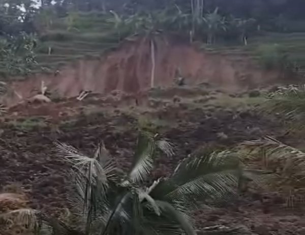 Longsor Besar Terjang Persawahan di Sumedang, Warga Diminta Siaga