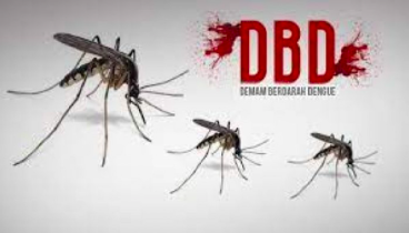 Waspada Penularan DBD di Musim Penghujan di Kota Cimahi