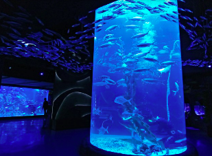 Harga Tiket Masuk Jakarta Aquarium Safari Terbaru