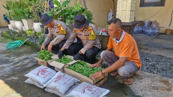 Polsek Balongbendo Salurkan Bibit Tanaman untuk Lahan Pangan Bergizi