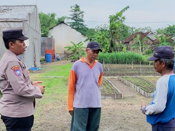 Bhabinkamtibmas Desa Bakung Temenggungan Pantau Pekarangan Pangan Bergizi