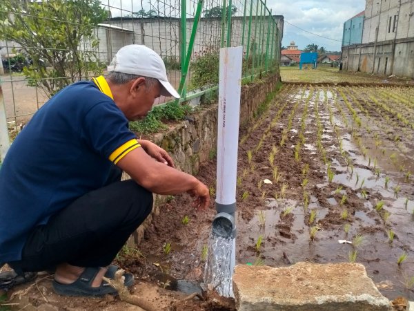 Puluhan Hektare Sawah Tadah Hujan Dialiri Air Sumur Dalam, Petani Bandung Bersyukur