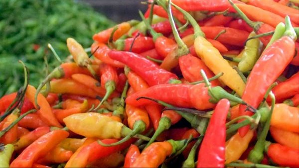 Harga Cabai Rawit Tembus Rp54.400 per Kg, Telur Rp29.600