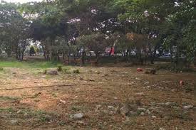 Lahan Suku Dinas Pertamanan di Cipayung Dialihkan Menjadi TPS, Warga Mengeluh