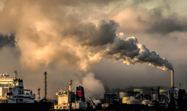 IDXCarbon Mulai Jual Sertifikat Karbon ke Pihak Asing 20 Januari 2025