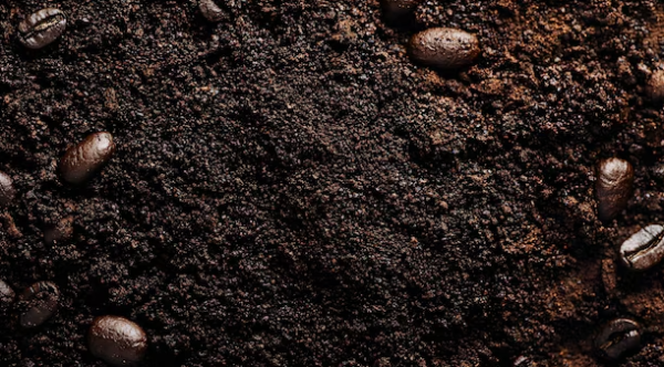 Jangan Buang Ampas Kopi, Ini 7 Manfaatnya untuk Dapur dan Rumah