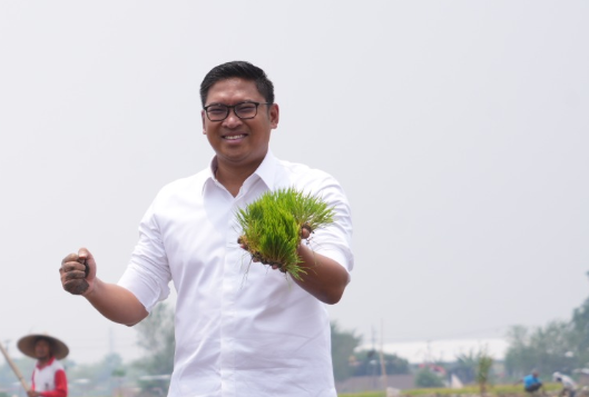 Wamen Pertanian: Pemerintah Fokus Swasembada, Stop Impor Beras dan Jagung 2025