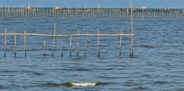 Kades Diduga Terlibat Polemik Pagar Laut di Tangerang, Dilaporkan ke Kejaksaan Agung
