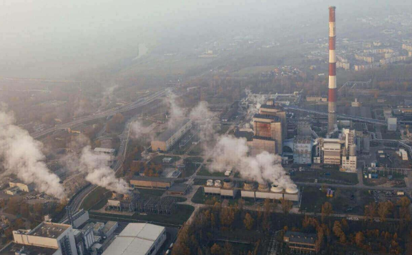 WWF Indonesia Apresiasi Langkah Pemerintah Memulai Perdagangan Karbon Internasional