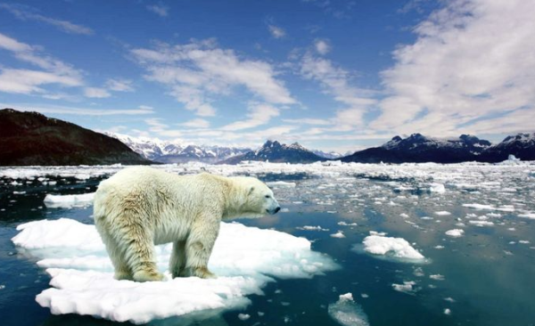 Suhu Laut Global Terpanas Sepanjang Sejarah, Tanda Pemanasan Global Semakin Cepat?
