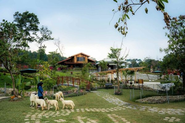 Wisata Bukit Domba Sentul Beserta Harga Tiket Masuknya