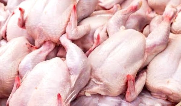 Teknik Penyimpanan Ayam yang Menjaga Rasa dan Tetap Segar